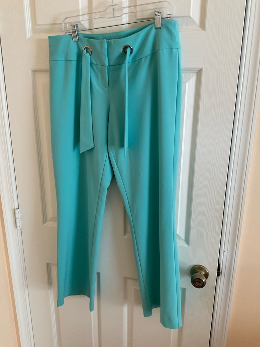 Poly Lycra mint green pants